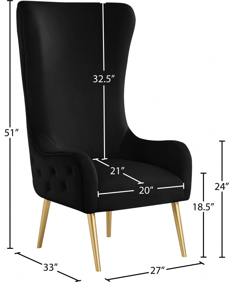 ALEXANDER VELVET ACCENT CHAIR - BLACK